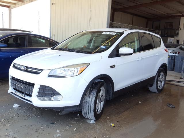 Photo 1 VIN: 1FMCU0GX4EUC03117 - FORD ESCAPE SE 