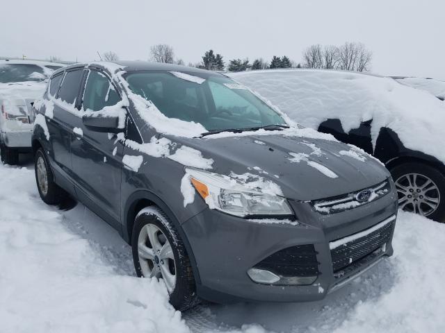 Photo 0 VIN: 1FMCU0GX4EUC20516 - FORD ESCAPE SE 