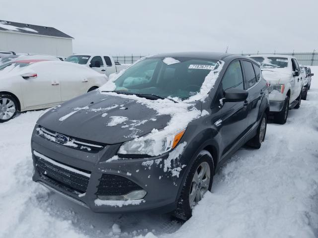 Photo 1 VIN: 1FMCU0GX4EUC20516 - FORD ESCAPE SE 