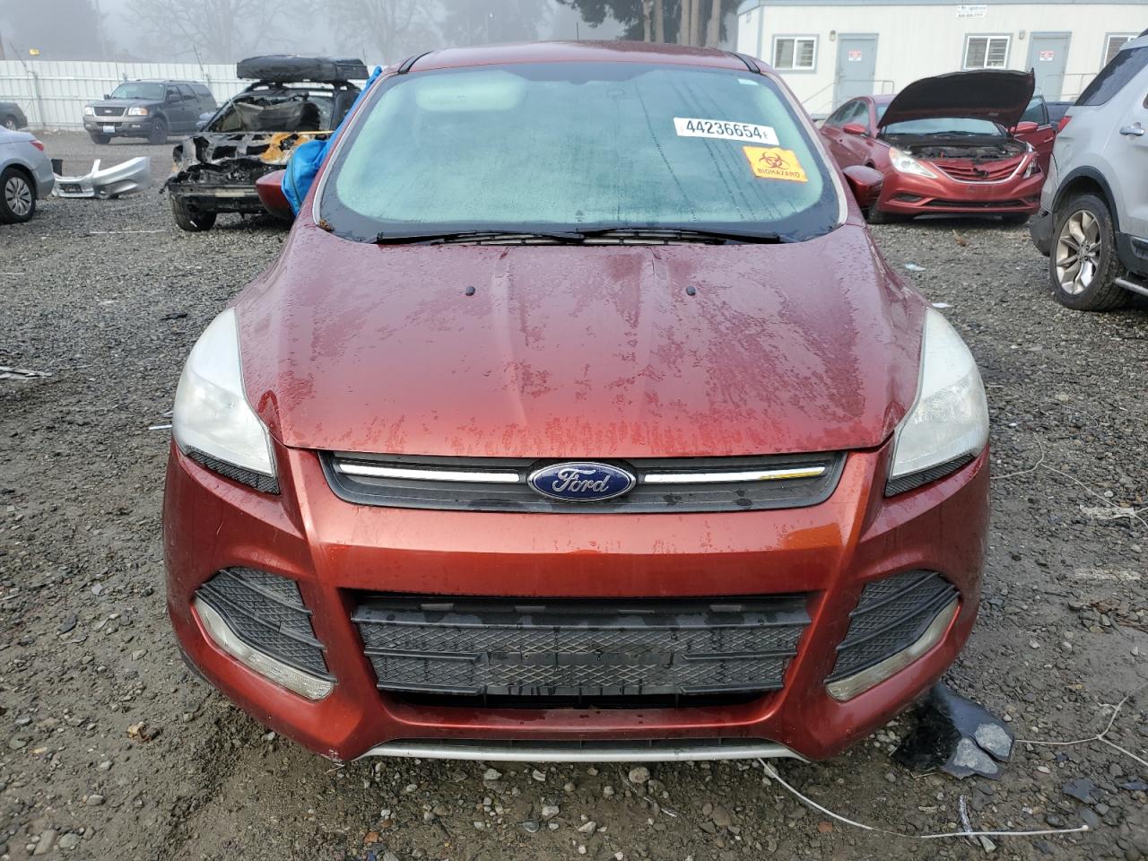 Photo 4 VIN: 1FMCU0GX4EUC23707 - FORD ESCAPE 