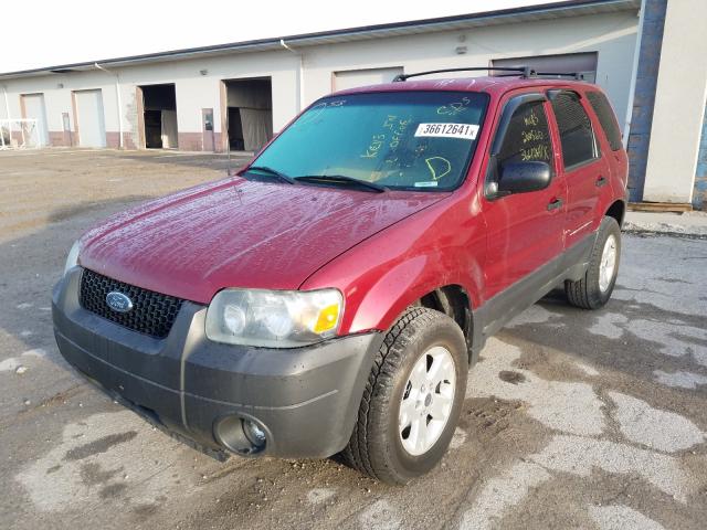 Photo 1 VIN: 1FMCU0GX4EUC24114 - FORD ESCAPE 