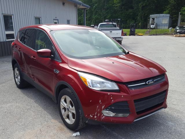 Photo 0 VIN: 1FMCU0GX4EUC27109 - FORD ESCAPE SE 