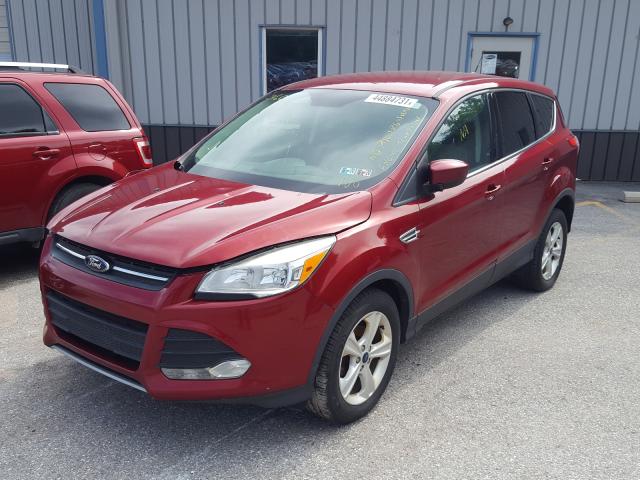 Photo 1 VIN: 1FMCU0GX4EUC27109 - FORD ESCAPE SE 