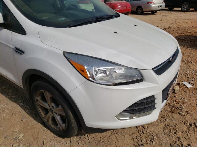 Photo 8 VIN: 1FMCU0GX4EUC27367 - FORD ESCAPE SE 