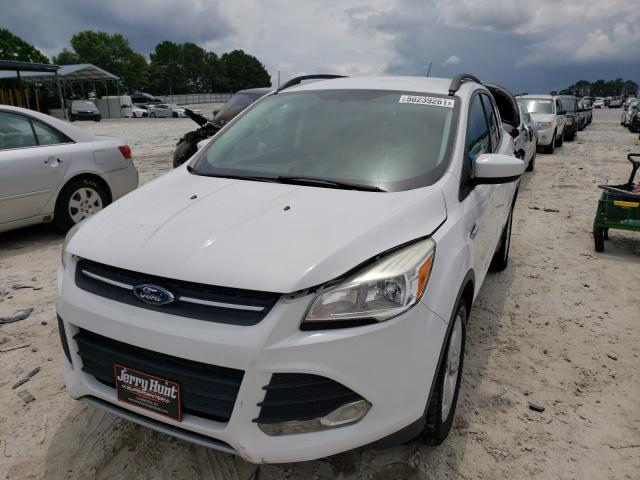 Photo 1 VIN: 1FMCU0GX4EUC27367 - FORD ESCAPE SE 