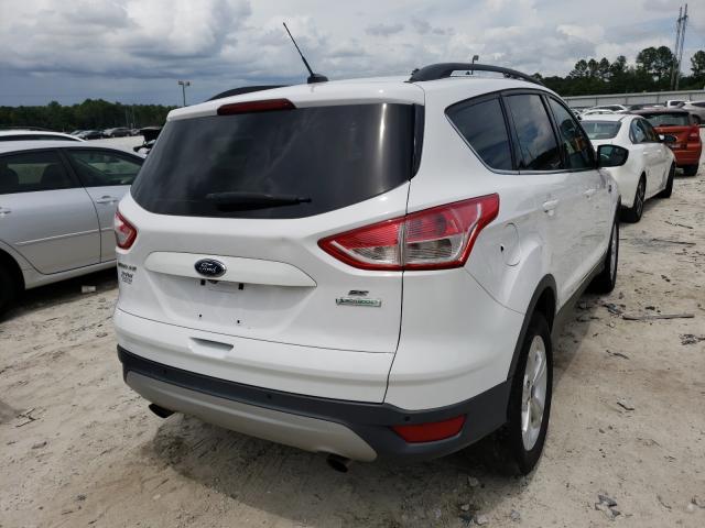 Photo 3 VIN: 1FMCU0GX4EUC27367 - FORD ESCAPE SE 