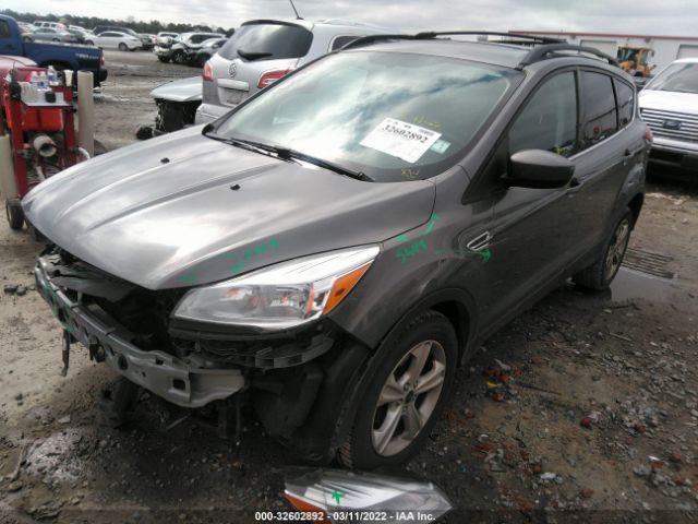 Photo 1 VIN: 1FMCU0GX4EUC57906 - FORD ESCAPE 