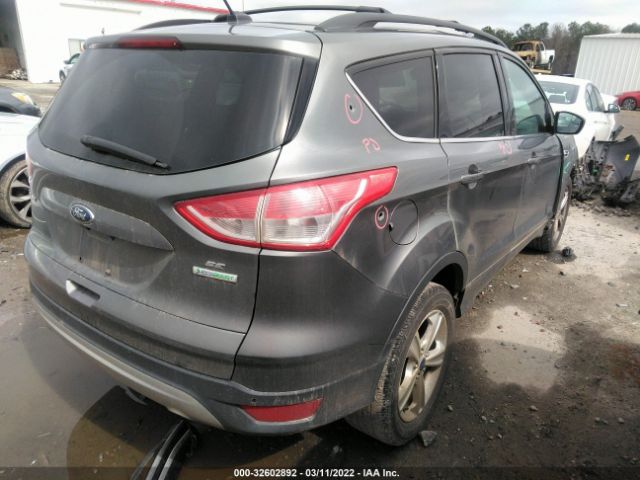 Photo 3 VIN: 1FMCU0GX4EUC57906 - FORD ESCAPE 