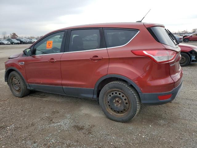 Photo 1 VIN: 1FMCU0GX4EUC79646 - FORD ESCAPE 