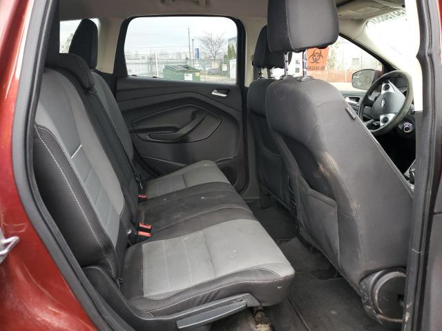 Photo 10 VIN: 1FMCU0GX4EUC79646 - FORD ESCAPE 