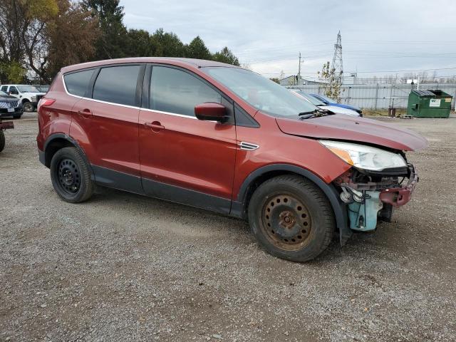 Photo 3 VIN: 1FMCU0GX4EUC79646 - FORD ESCAPE 