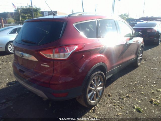 Photo 3 VIN: 1FMCU0GX4EUC83860 - FORD ESCAPE 