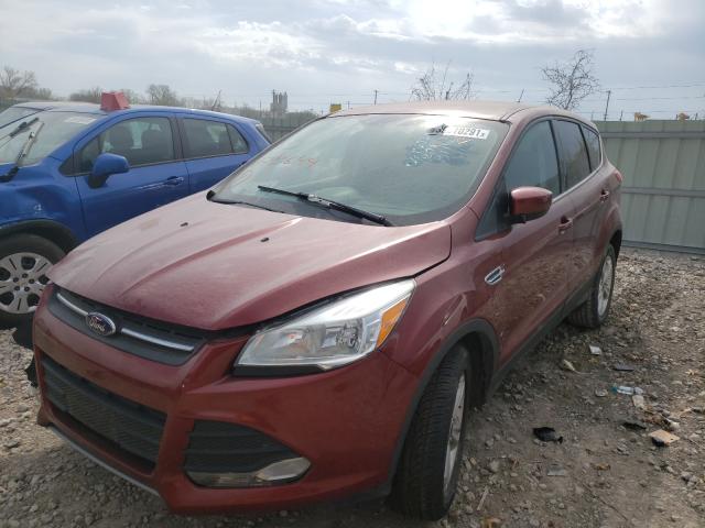 Photo 1 VIN: 1FMCU0GX4EUC93644 - FORD ESCAPE SE 