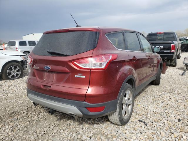 Photo 3 VIN: 1FMCU0GX4EUC93644 - FORD ESCAPE SE 