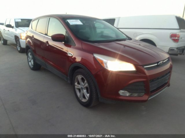 Photo 0 VIN: 1FMCU0GX4EUC93689 - FORD ESCAPE 