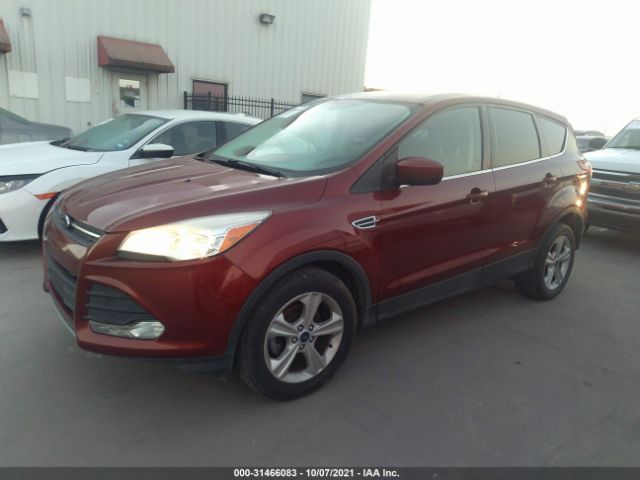 Photo 1 VIN: 1FMCU0GX4EUC93689 - FORD ESCAPE 