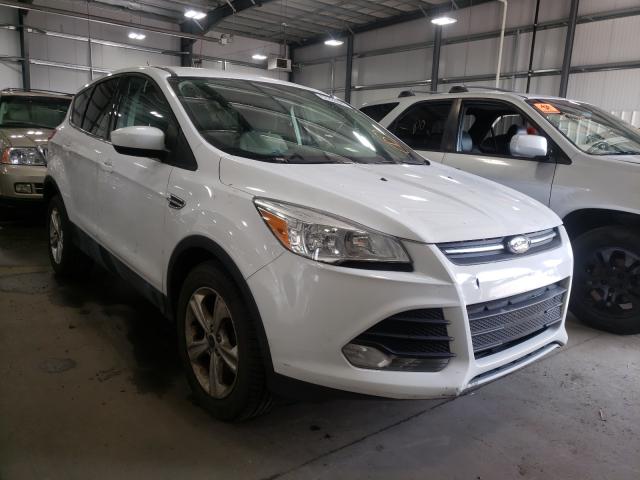 Photo 0 VIN: 1FMCU0GX4EUD09843 - FORD ESCAPE SE 