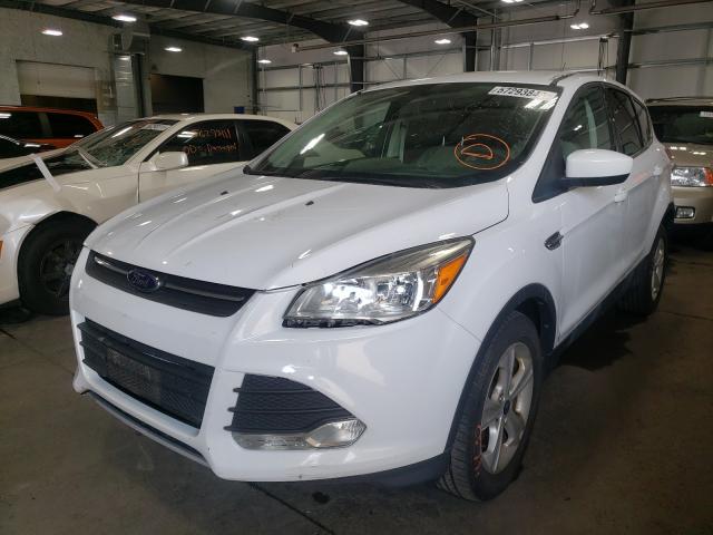 Photo 1 VIN: 1FMCU0GX4EUD09843 - FORD ESCAPE SE 