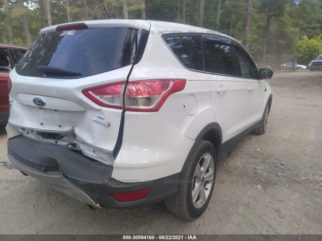 Photo 3 VIN: 1FMCU0GX4EUD59688 - FORD ESCAPE 