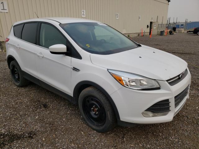 Photo 0 VIN: 1FMCU0GX4EUE02135 - FORD ESCAPE SE 