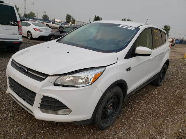 Photo 1 VIN: 1FMCU0GX4EUE02135 - FORD ESCAPE SE 