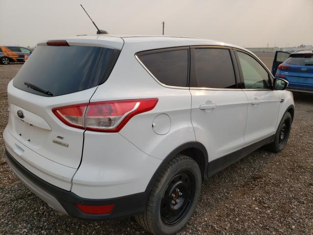 Photo 3 VIN: 1FMCU0GX4EUE02135 - FORD ESCAPE SE 