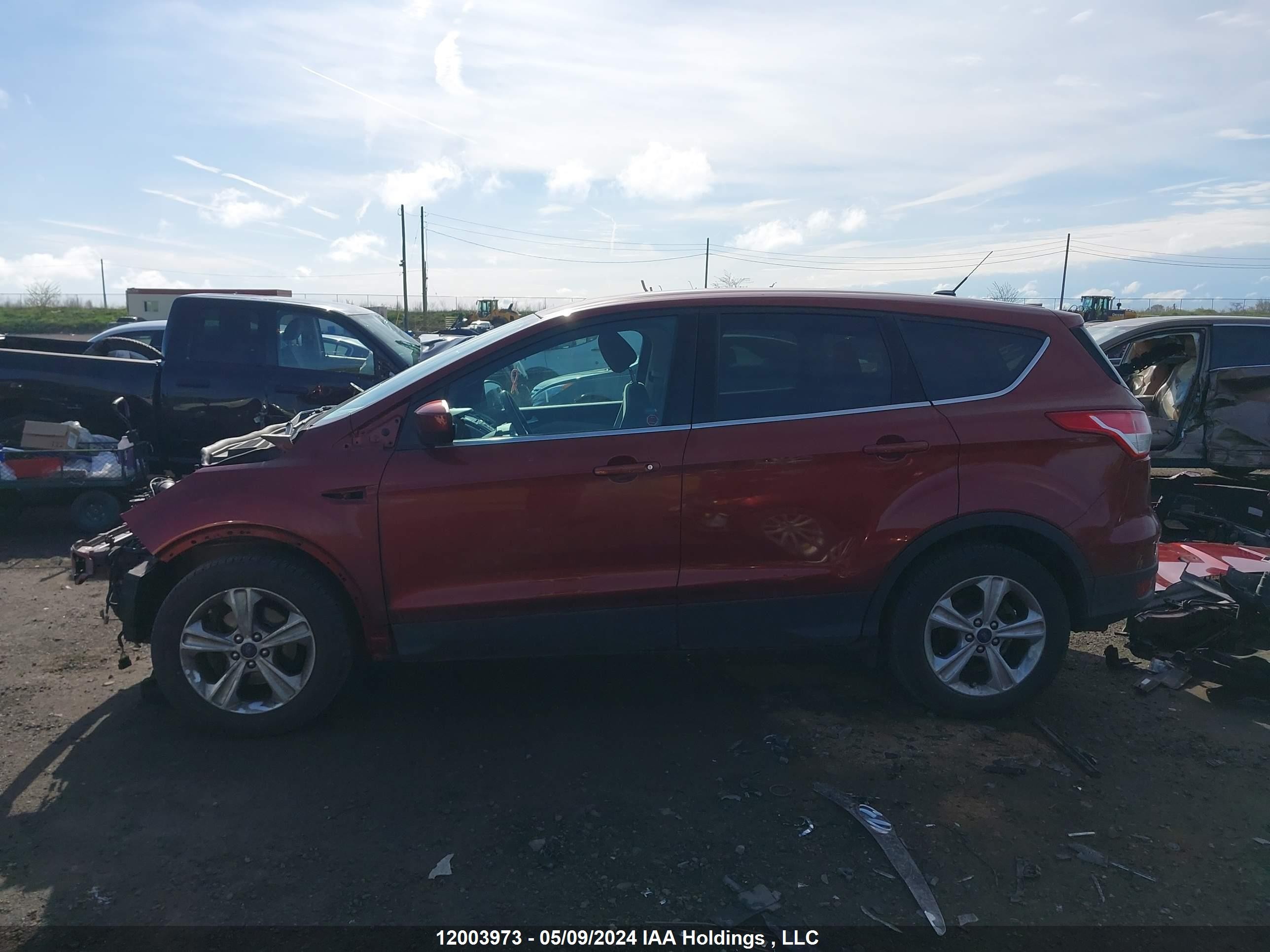 Photo 14 VIN: 1FMCU0GX4EUE02491 - FORD ESCAPE 