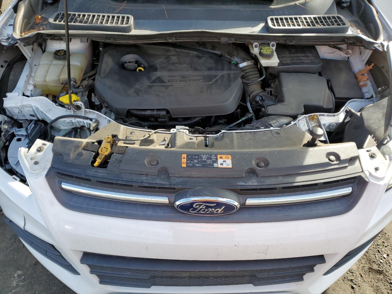 Photo 10 VIN: 1FMCU0GX4EUE34096 - FORD ESCAPE 