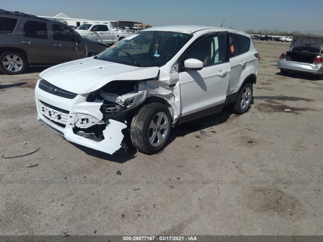 Photo 5 VIN: 1FMCU0GX4FUA46254 - FORD ESCAPE 