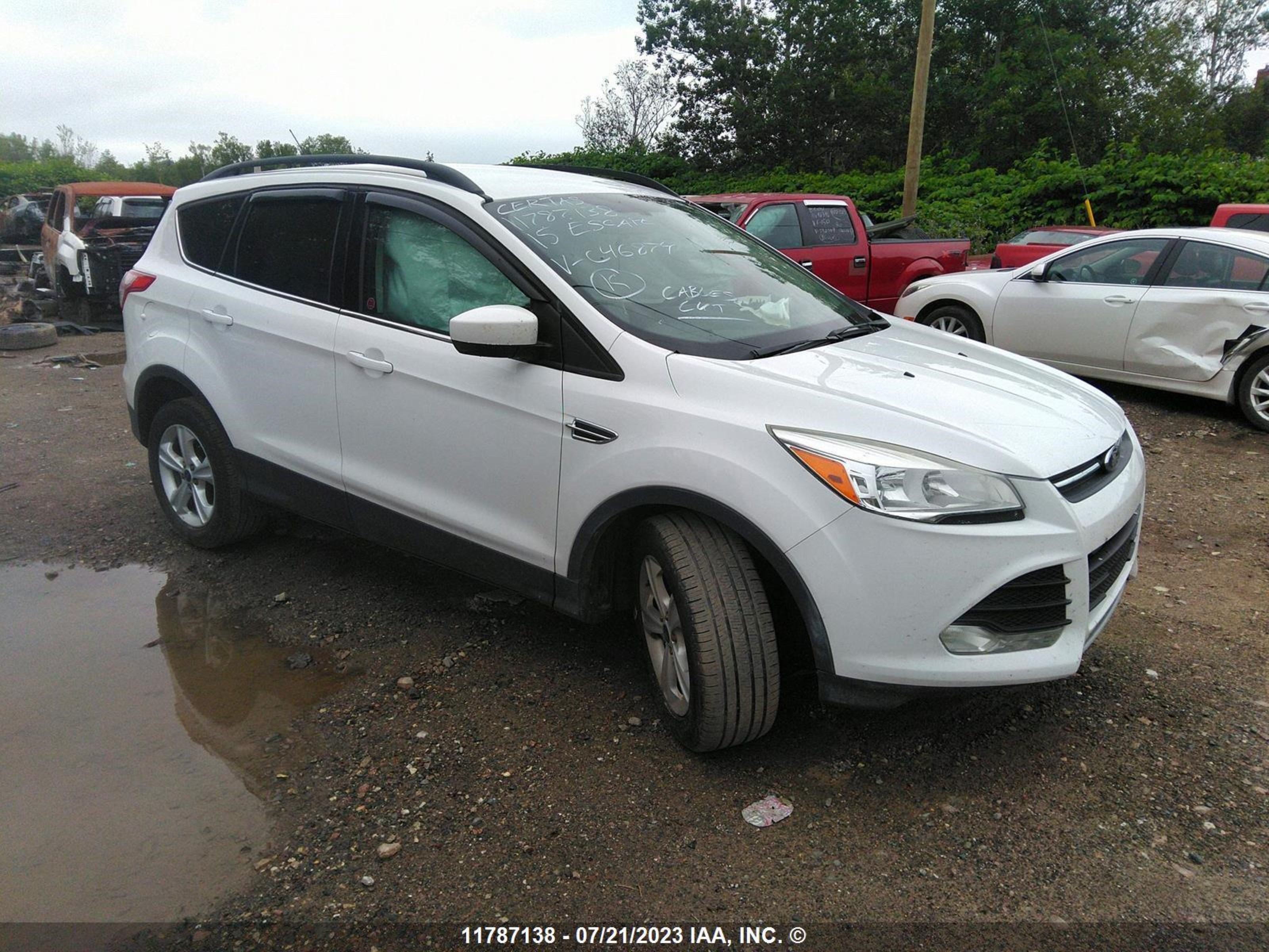 Photo 0 VIN: 1FMCU0GX4FUC46874 - FORD ESCAPE 