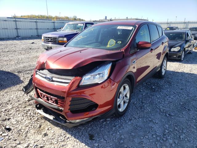 Photo 1 VIN: 1FMCU0GX4GUB62393 - FORD ESCAPE SE 