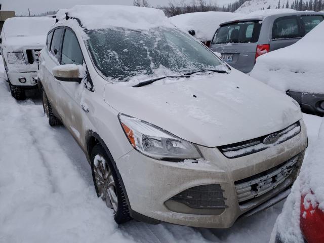 Photo 4 VIN: 1FMCU0GX4GUC14721 - FORD ESCAPE SE 