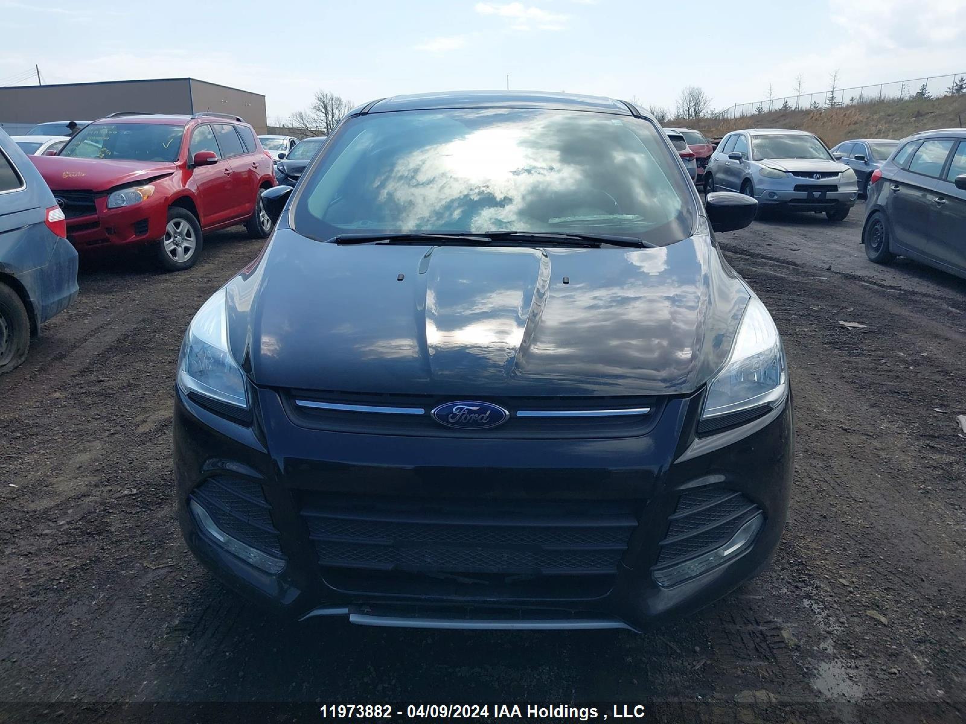 Photo 11 VIN: 1FMCU0GX4GUC14864 - FORD ESCAPE 