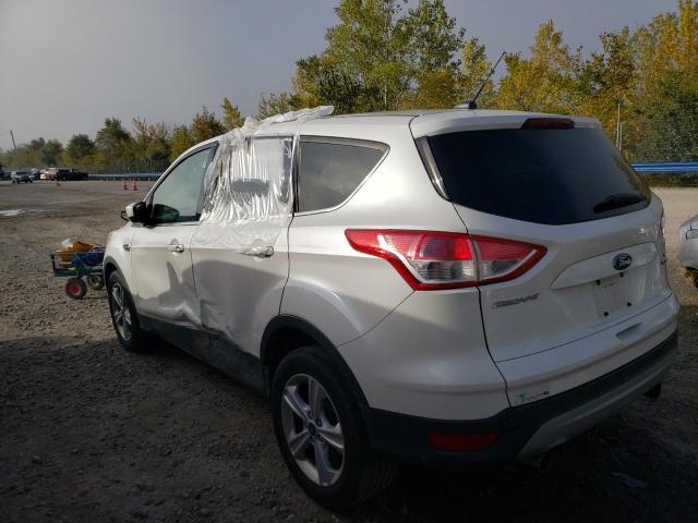 Photo 1 VIN: 1FMCU0GX5DUA77087 - FORD ESCAPE 