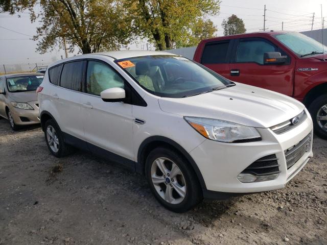 Photo 3 VIN: 1FMCU0GX5DUA77087 - FORD ESCAPE 