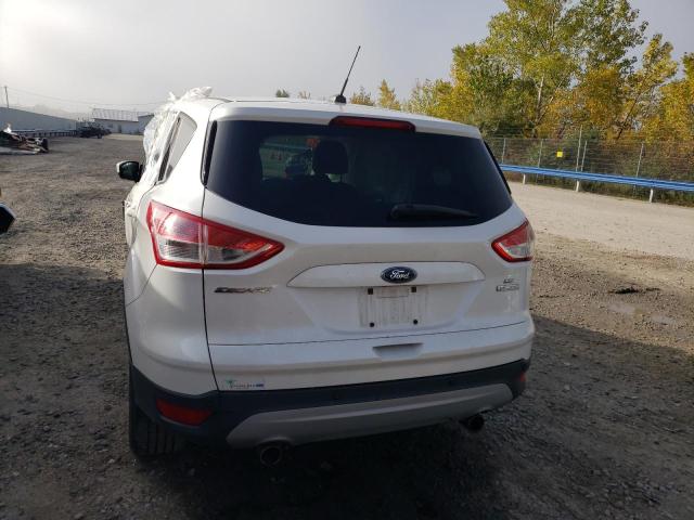 Photo 5 VIN: 1FMCU0GX5DUA77087 - FORD ESCAPE 