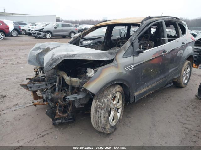 Photo 1 VIN: 1FMCU0GX5DUB33254 - FORD ESCAPE 