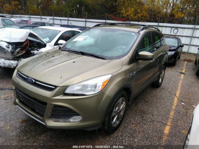 Photo 1 VIN: 1FMCU0GX5DUB87217 - FORD ESCAPE 