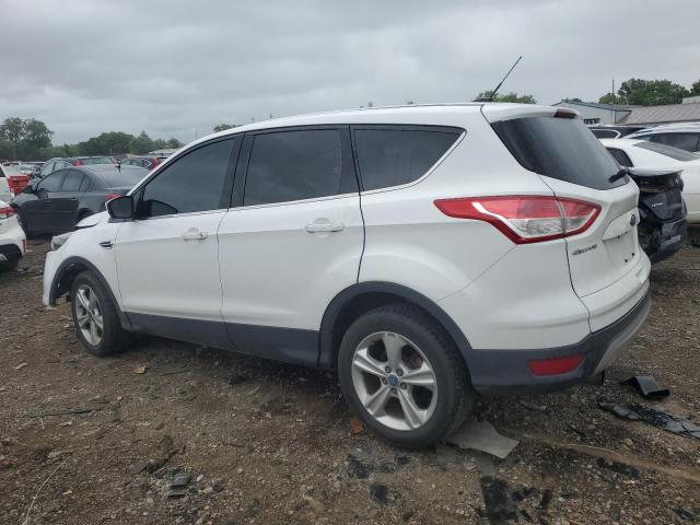 Photo 1 VIN: 1FMCU0GX5DUC12259 - FORD ESCAPE 