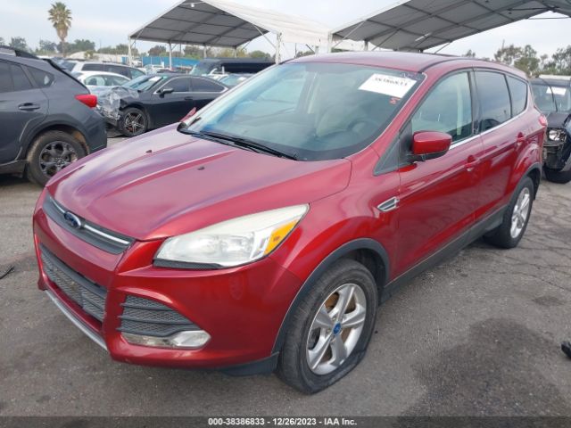 Photo 1 VIN: 1FMCU0GX5DUC24590 - FORD ESCAPE 