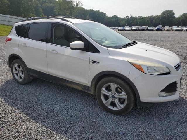 Photo 3 VIN: 1FMCU0GX5DUC67164 - FORD ESCAPE 