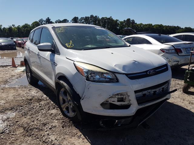 Photo 0 VIN: 1FMCU0GX5DUC95403 - FORD ESCAPE 