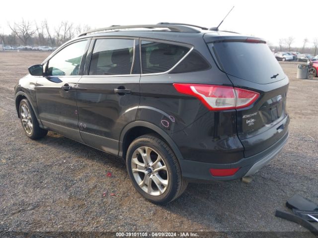 Photo 2 VIN: 1FMCU0GX5DUD36161 - FORD ESCAPE 