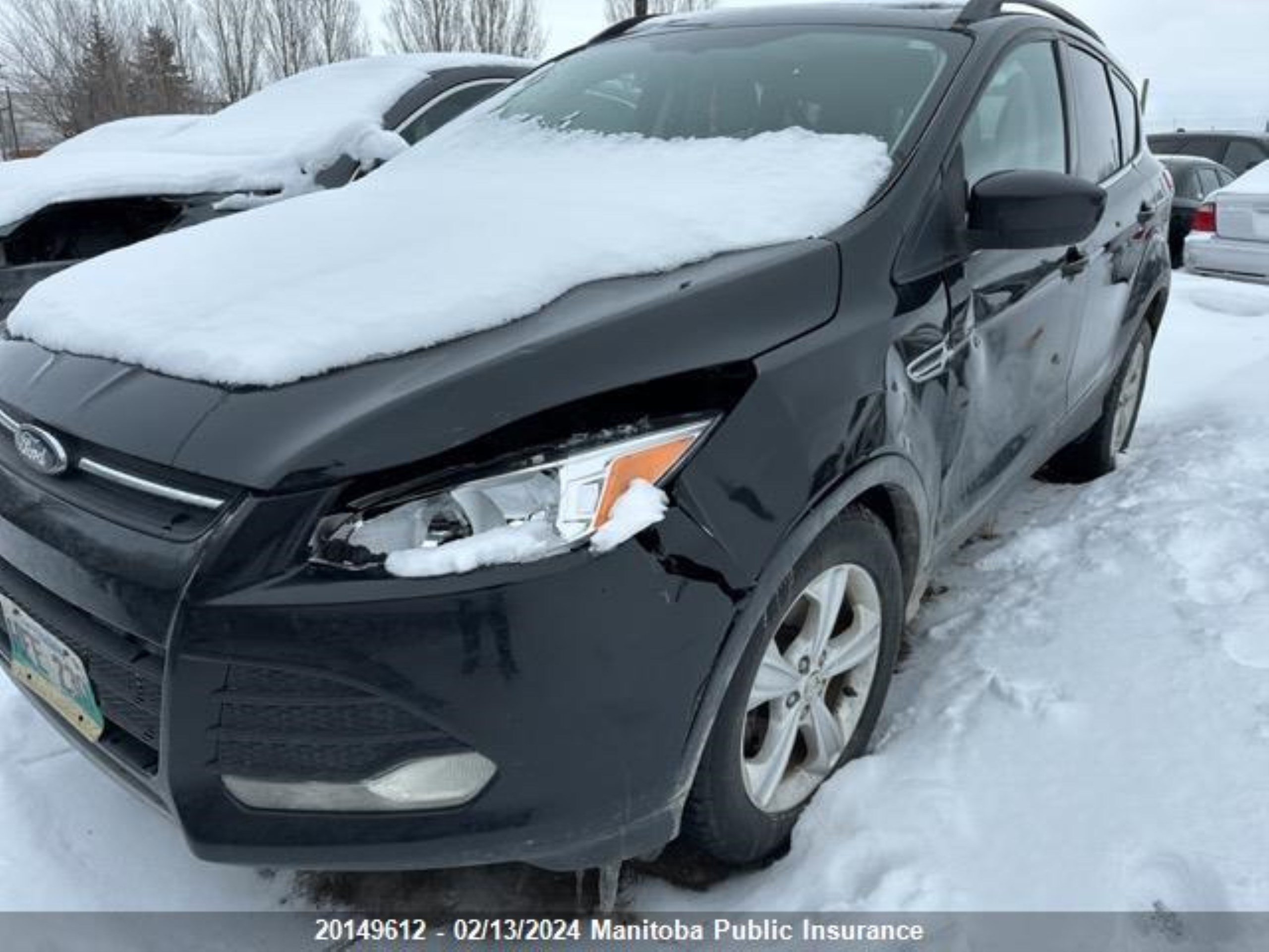 Photo 1 VIN: 1FMCU0GX5EUA00740 - FORD ESCAPE 