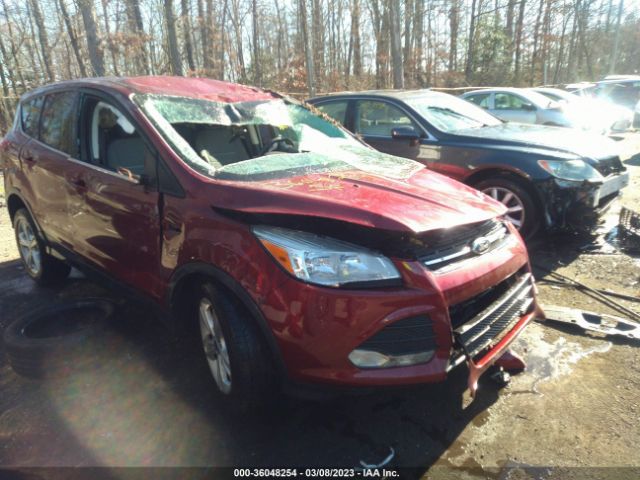 Photo 0 VIN: 1FMCU0GX5EUA35861 - FORD ESCAPE 