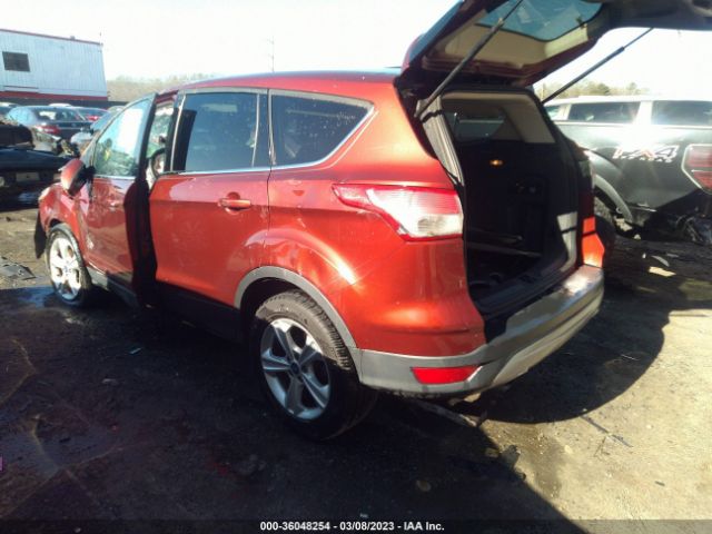 Photo 2 VIN: 1FMCU0GX5EUA35861 - FORD ESCAPE 