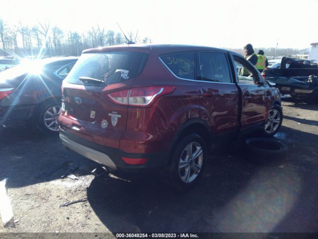 Photo 3 VIN: 1FMCU0GX5EUA35861 - FORD ESCAPE 