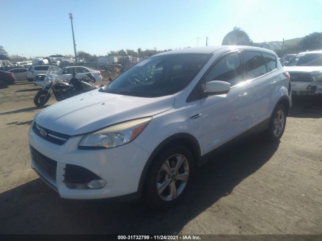 Photo 1 VIN: 1FMCU0GX5EUA78273 - FORD ESCAPE 