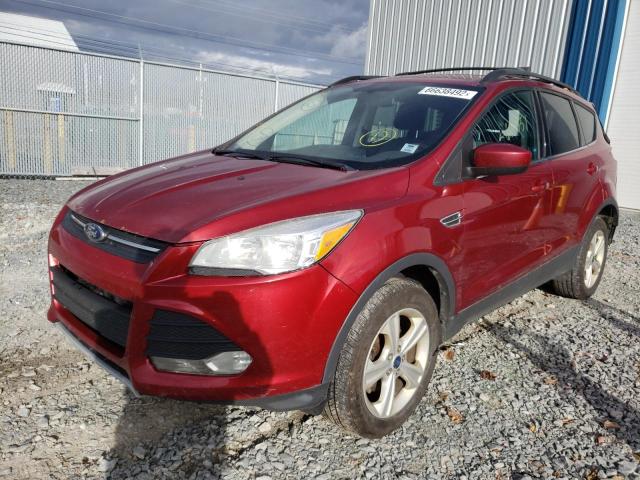 Photo 1 VIN: 1FMCU0GX5EUA79973 - FORD ESCAPE 