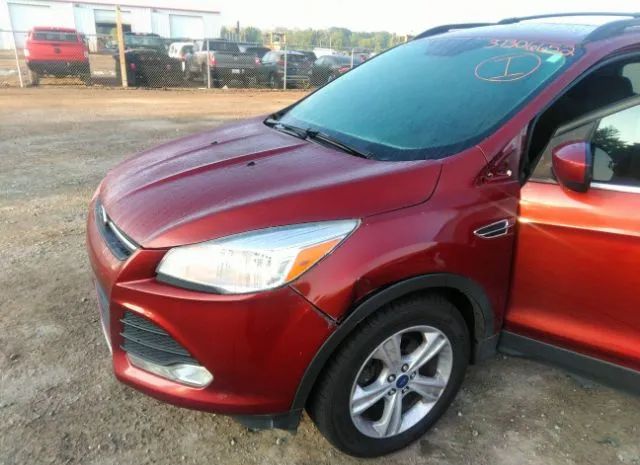 Photo 5 VIN: 1FMCU0GX5EUB17718 - FORD ESCAPE 